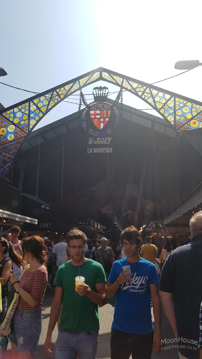 20190727_164823.jpg