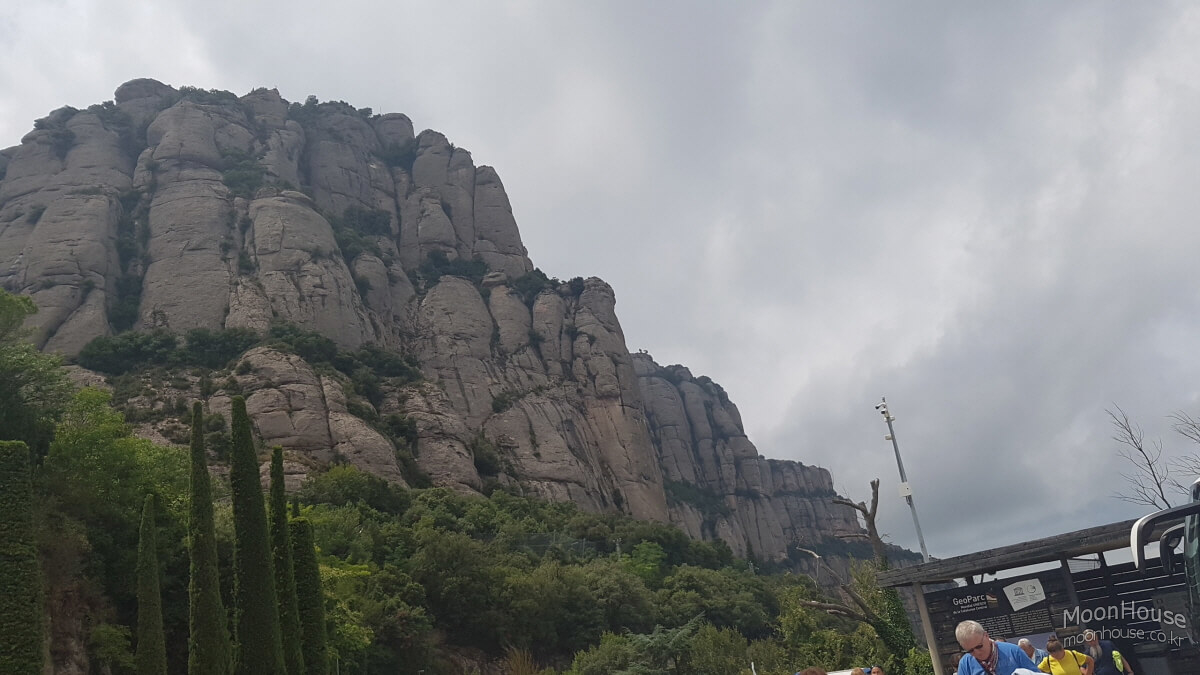 20190727_150459.jpg