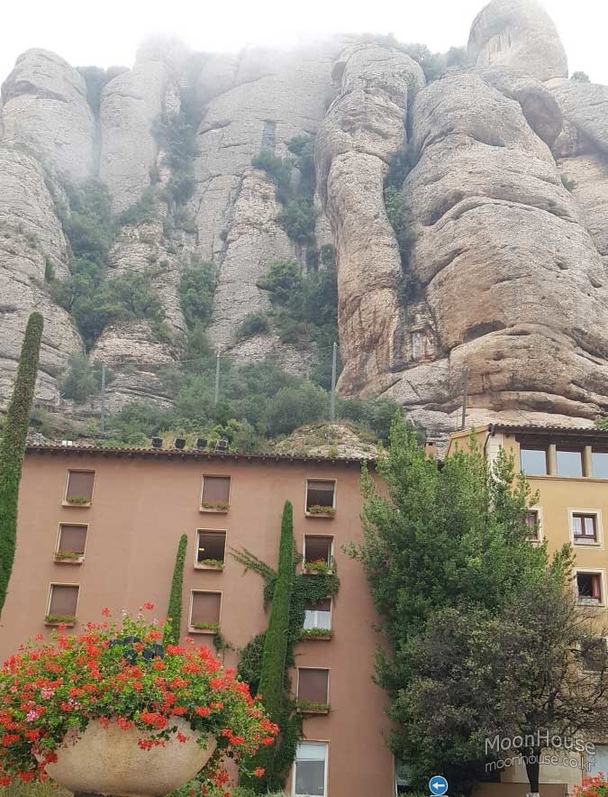 20190727_141316.jpg