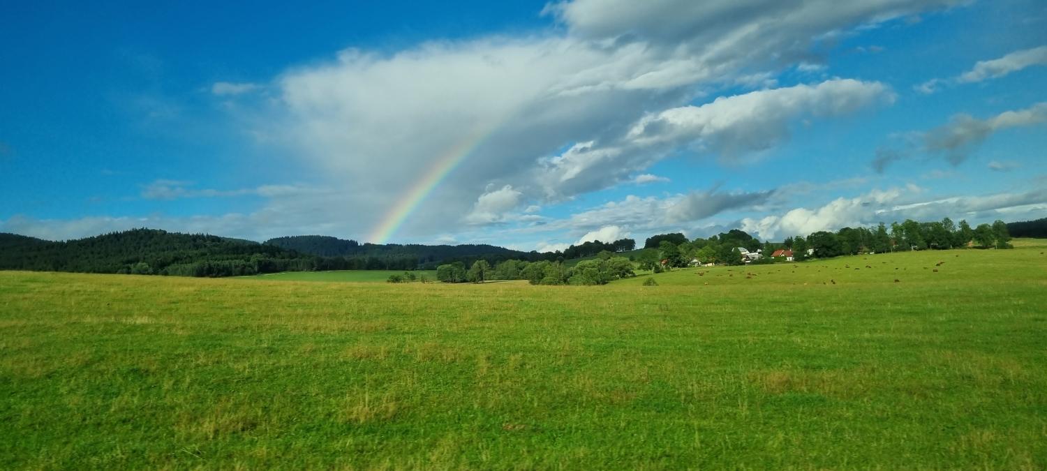 20230809_181001.jpg