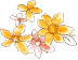 image.gif